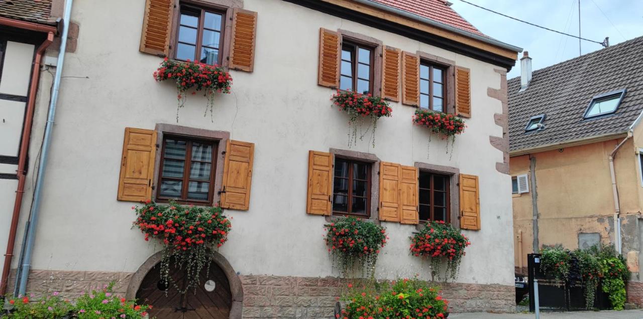 A L'aigle De Sable Appartement Kintzheim