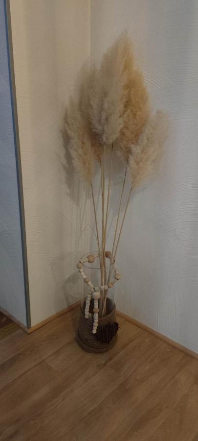 Appartement A L'aigle De Sable Kintzheim
